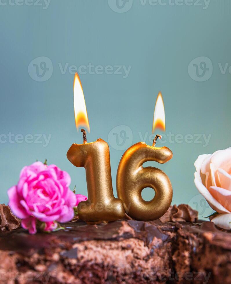 Sweet sixteen chocolate birthday cake decorated with golden glowing lit 16 candles and pink roses. Handmade torte for celebration of a special milestone event. Card design. Selective focus. Copy space photo
