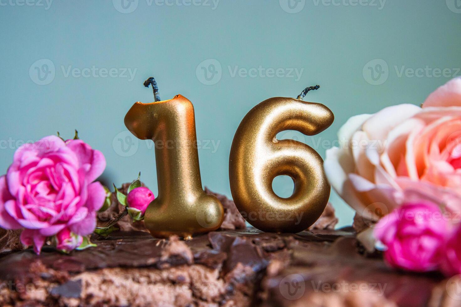 Sweet sixteen chocolate birthday cake decorated with golden glowing lit 16 candles and pink roses. Handmade torte for celebration of a special milestone event. Card design. Copy space photo