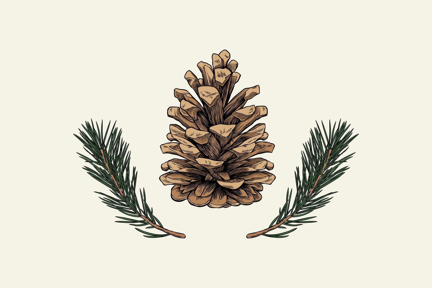 Colored illustration of pine cones and leaves vector