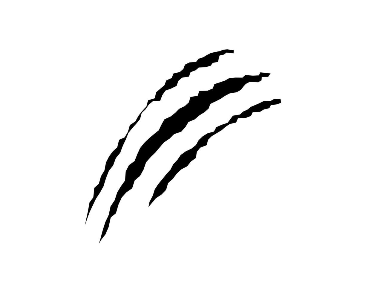 Claws scratches, animal monster mark design element, tattoo and decor for halloween. Black silhouette. vector