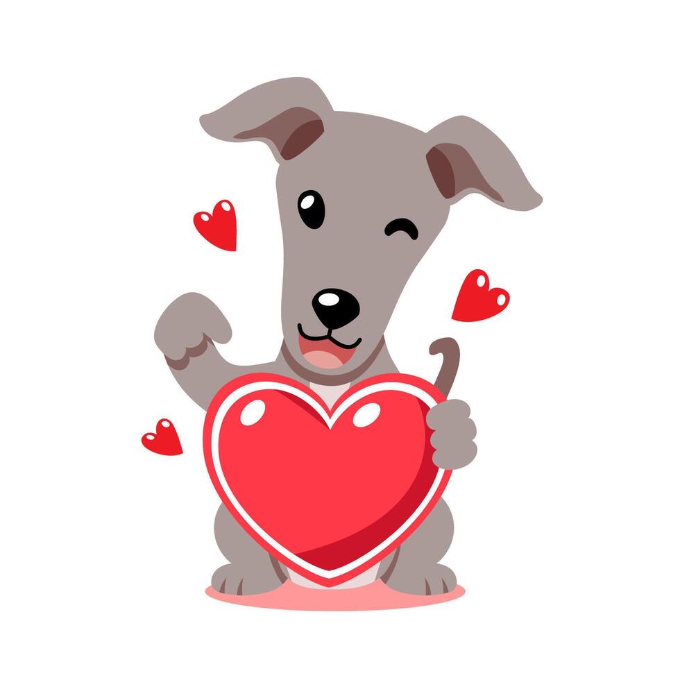 cartoon valentine cute greyhound dog holding a big red heart vector