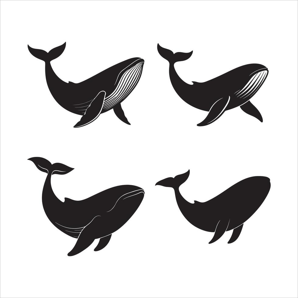 Whale Silhouette Collection in Black vector