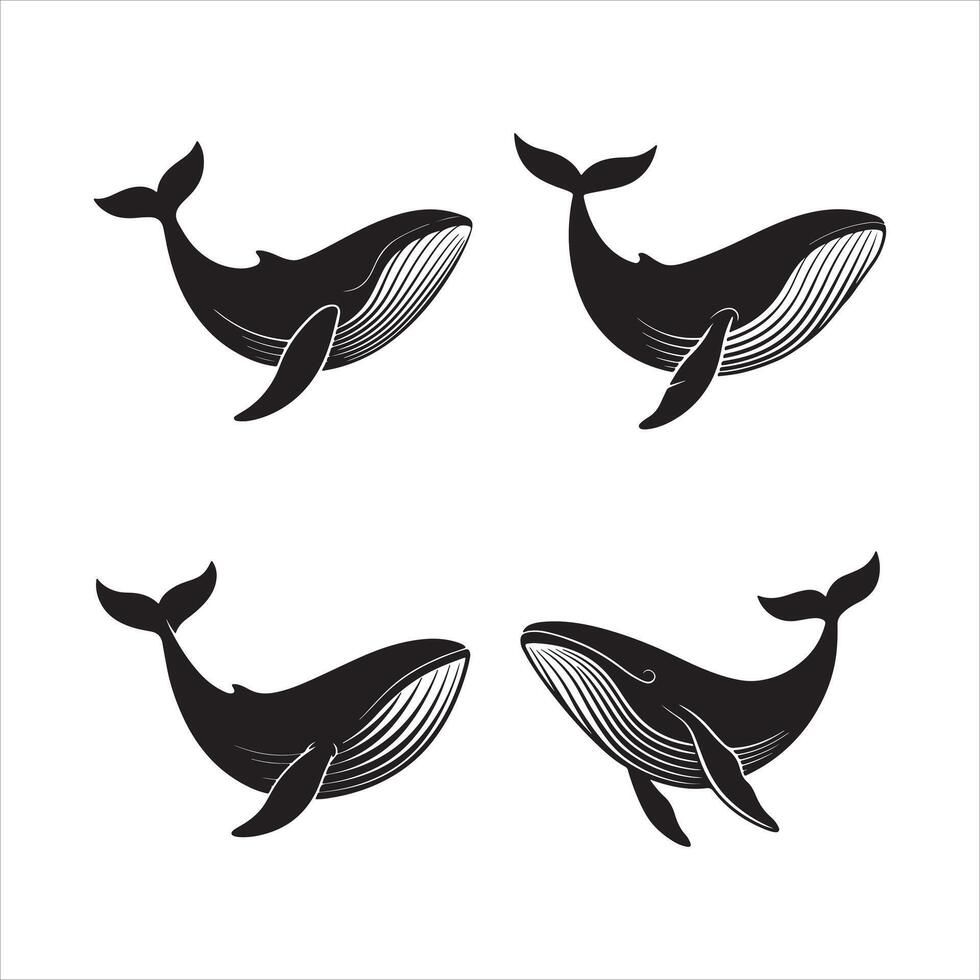 Black Whale Silhouettes on White Background vector