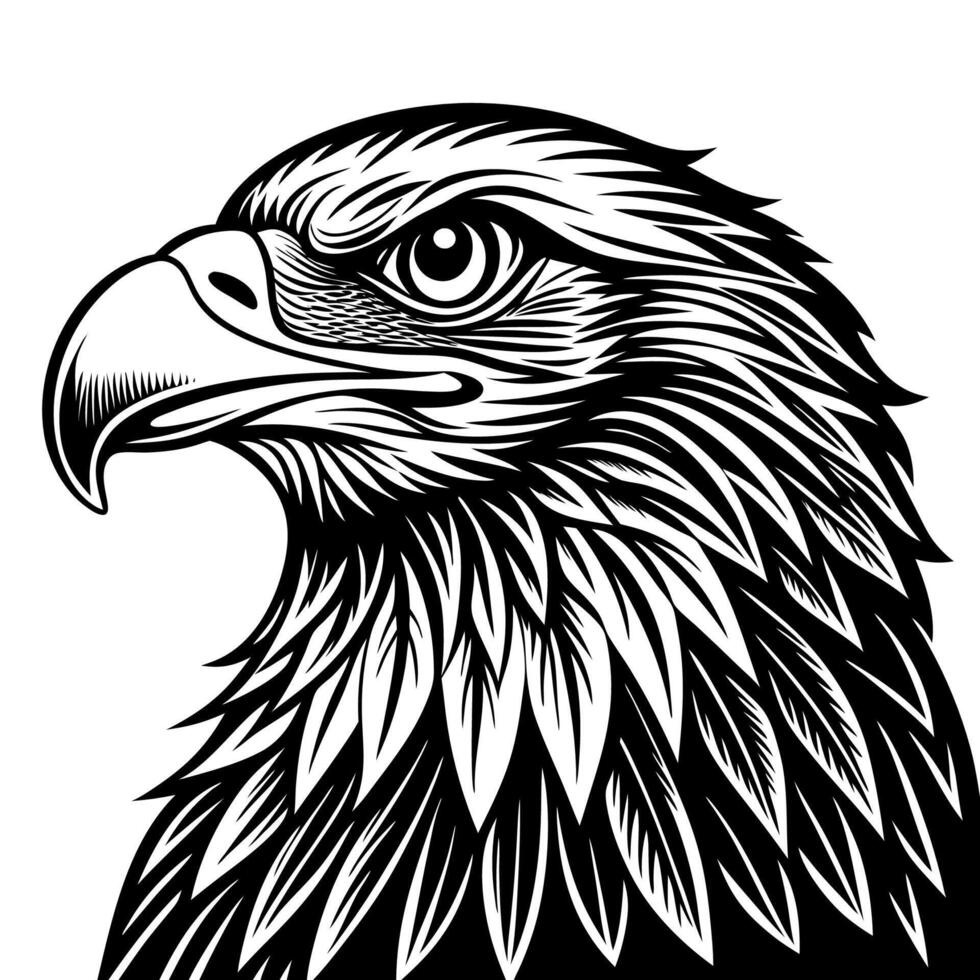 Powerful Eagle Portrait with Intense Gaze and Feather Details vector