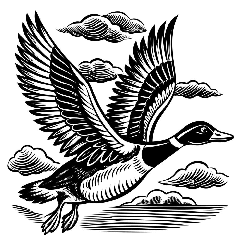 Black and White Illustration of a Flying Duck with Detailed Feathers vector