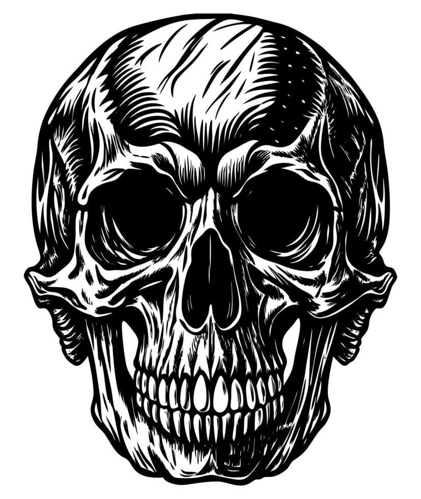 Stylish illustration with stylized human skull vector