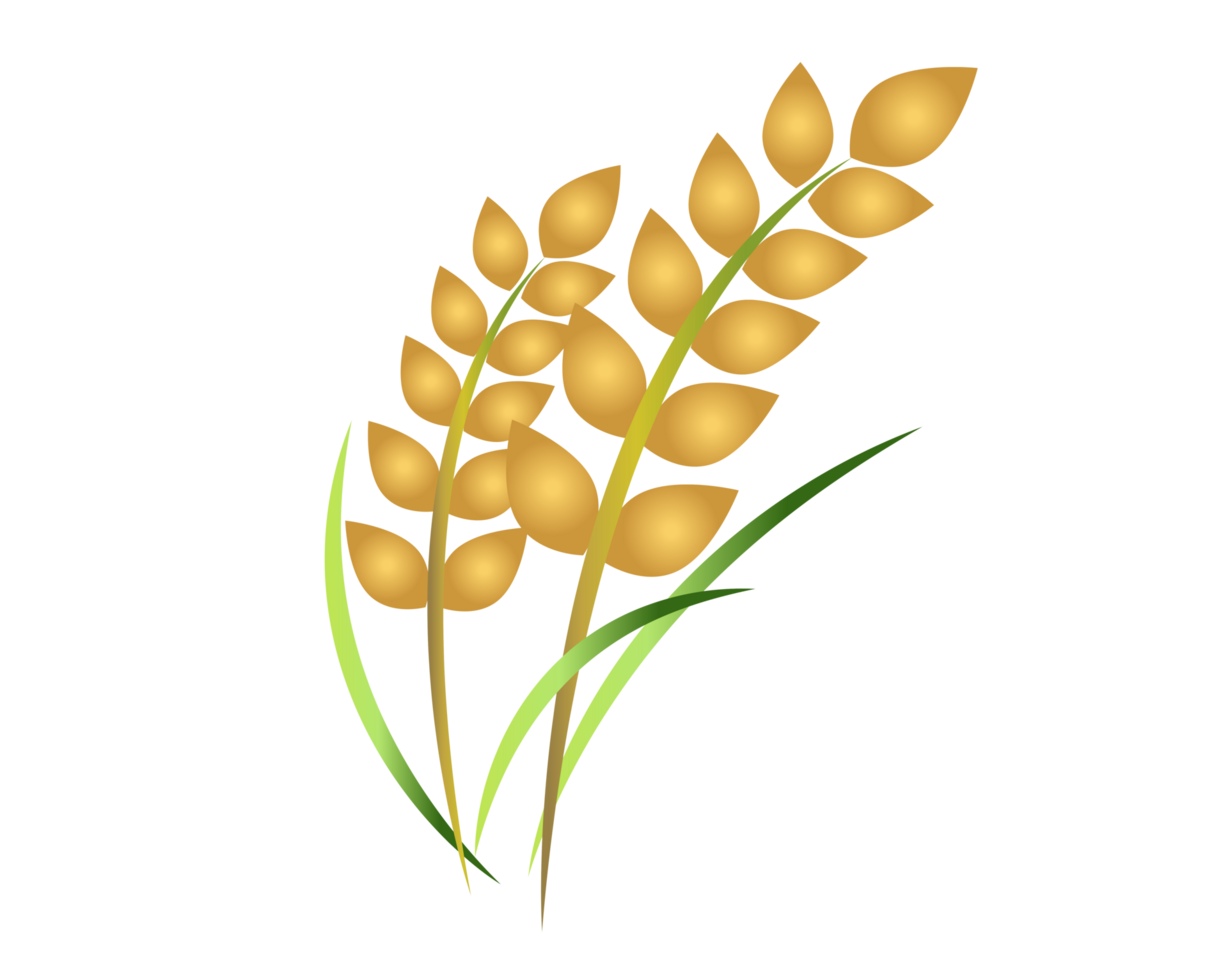 Rice plant icon, represent wheat, corn, oats, sorghum, crops, field, harvests and farming png