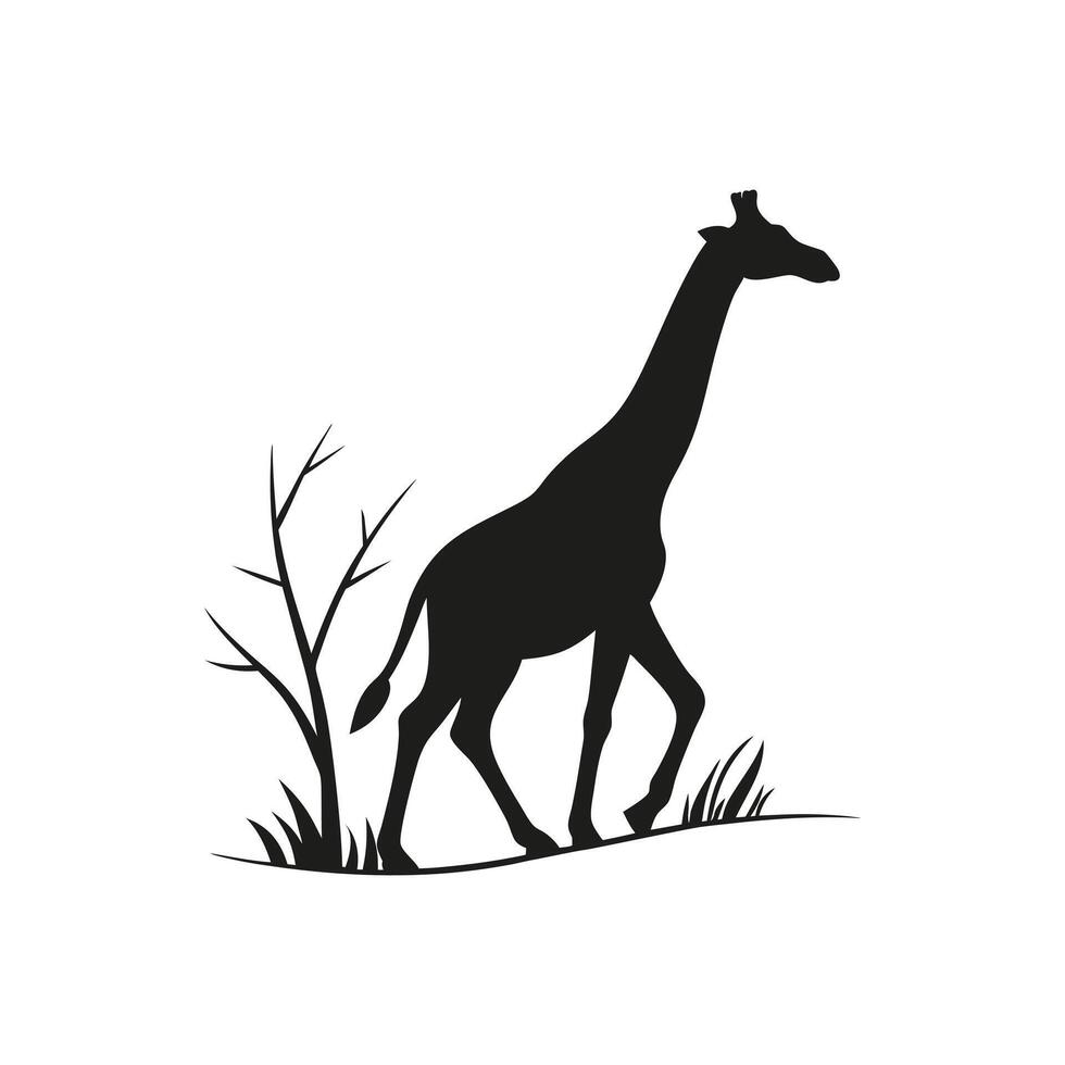 Silhouette of a Giraffe Walking Near a Bare Tree in a Grassland vector