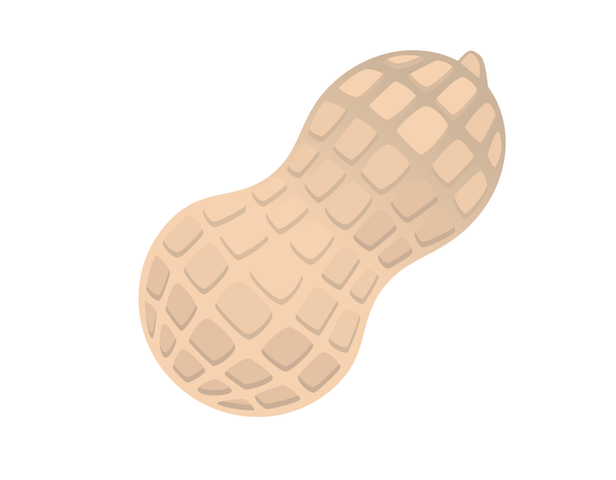 Isolated gradient beige natural peanut nut icon for food menu png