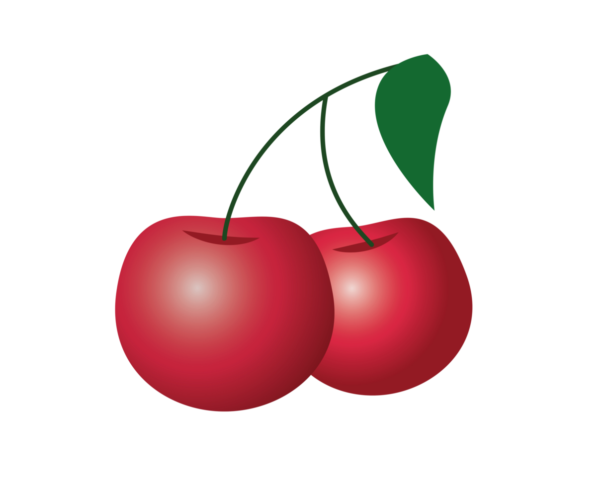 Fruit two rich red wild cherry icon with green leaf png