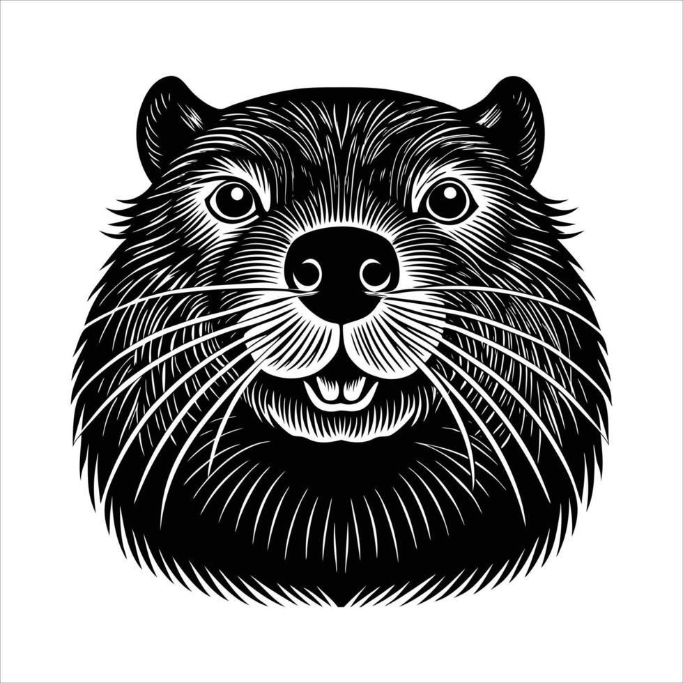 Beaver tail close up. vector