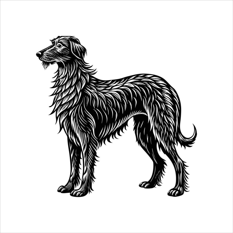 Irish Wolfhound Dog Standing vector