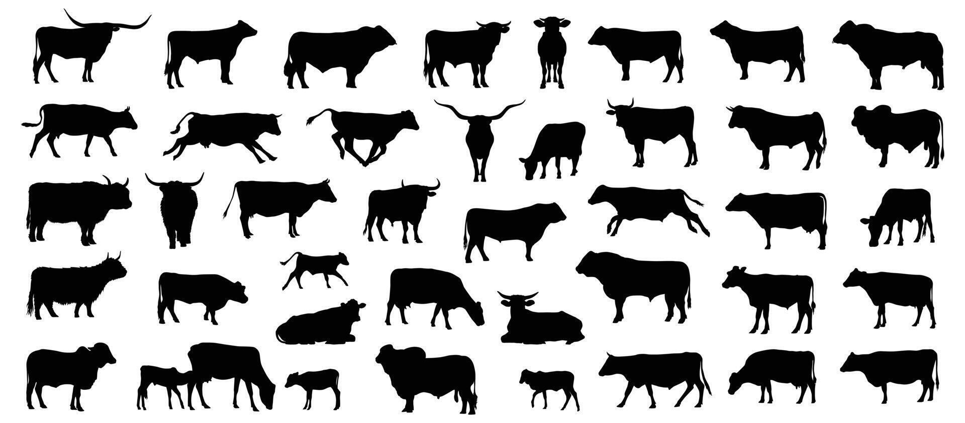 Cow silhouette bundle vector