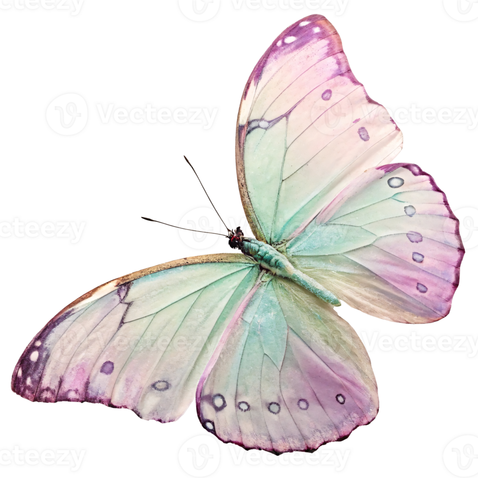 Vibrant butterfly with pastel-colored wings, detailed texture, isolated on a transparent background, symbol of beauty and transformation png