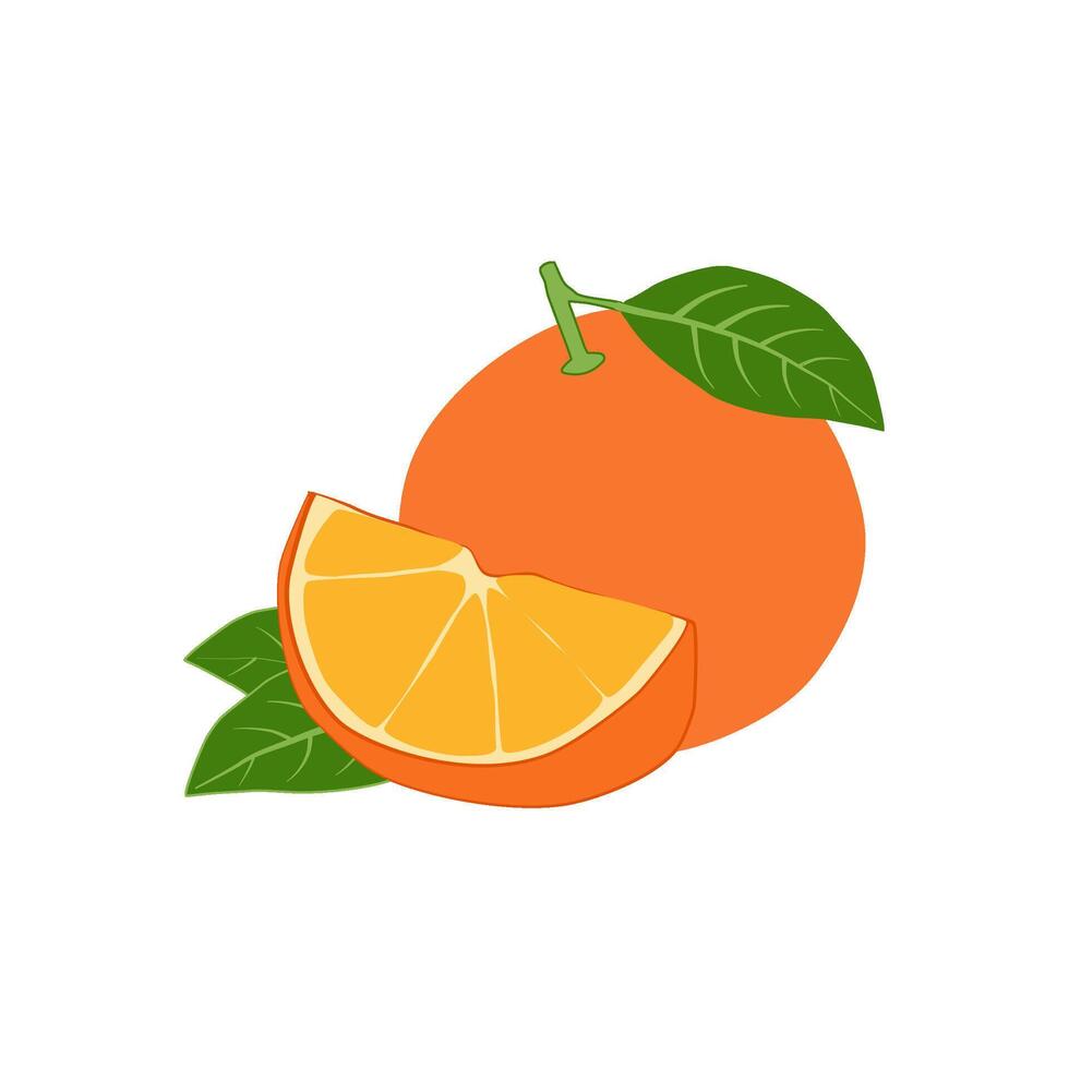Orange fruit on white background. vector