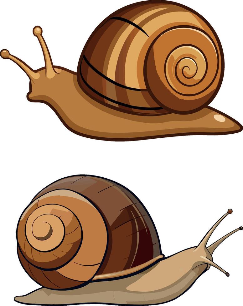 Two snails sliding on white background vector