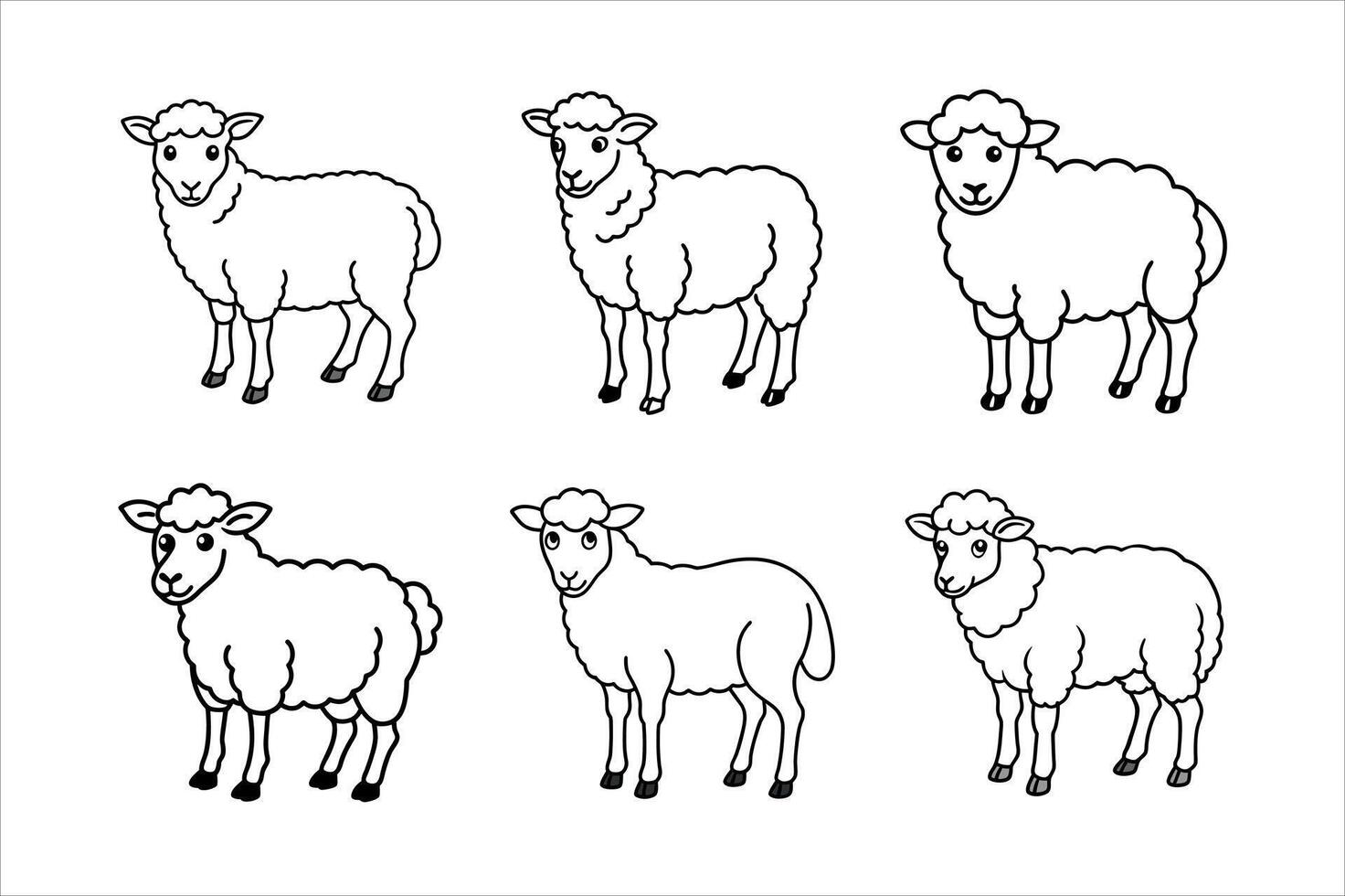 Sheep Illustrations for Coloring Books vector