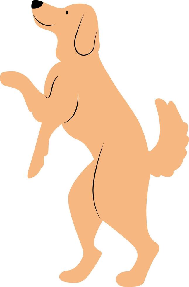 The dog walks on two legs vector