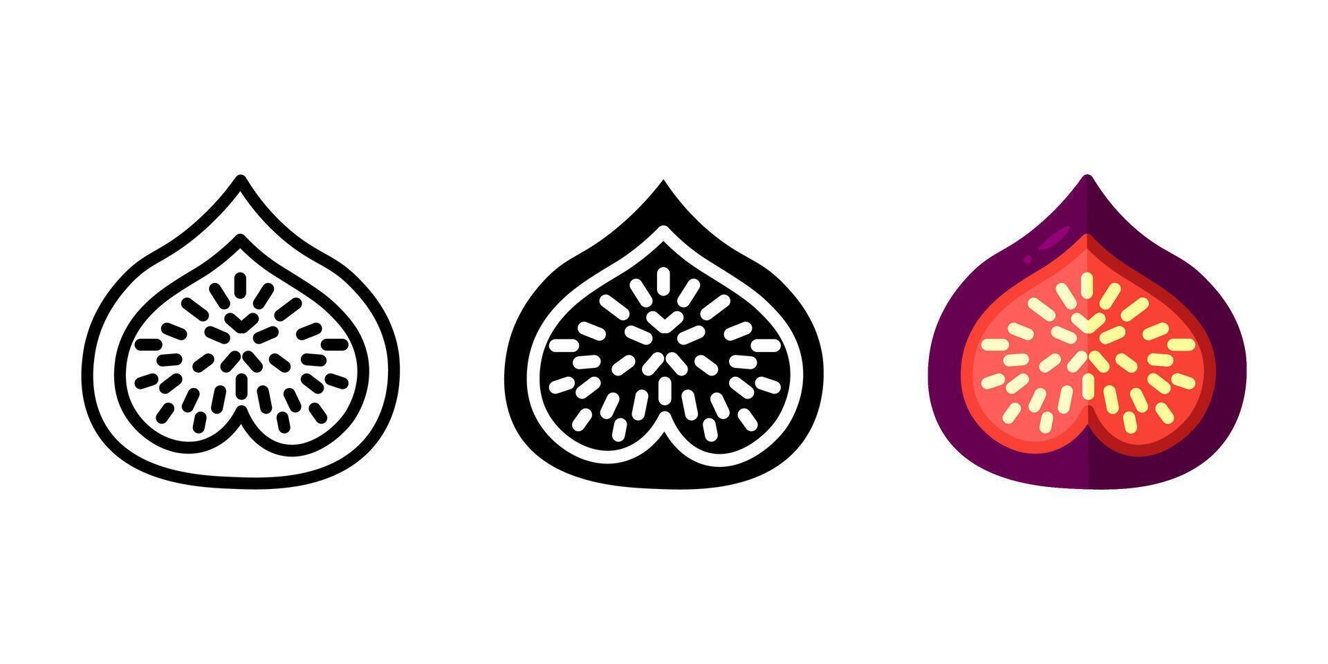 Fig purple color icon. Half fig fruit symbol. Exotic fig tree illustration. Tropical fruit sign. Summer pictogram. vector