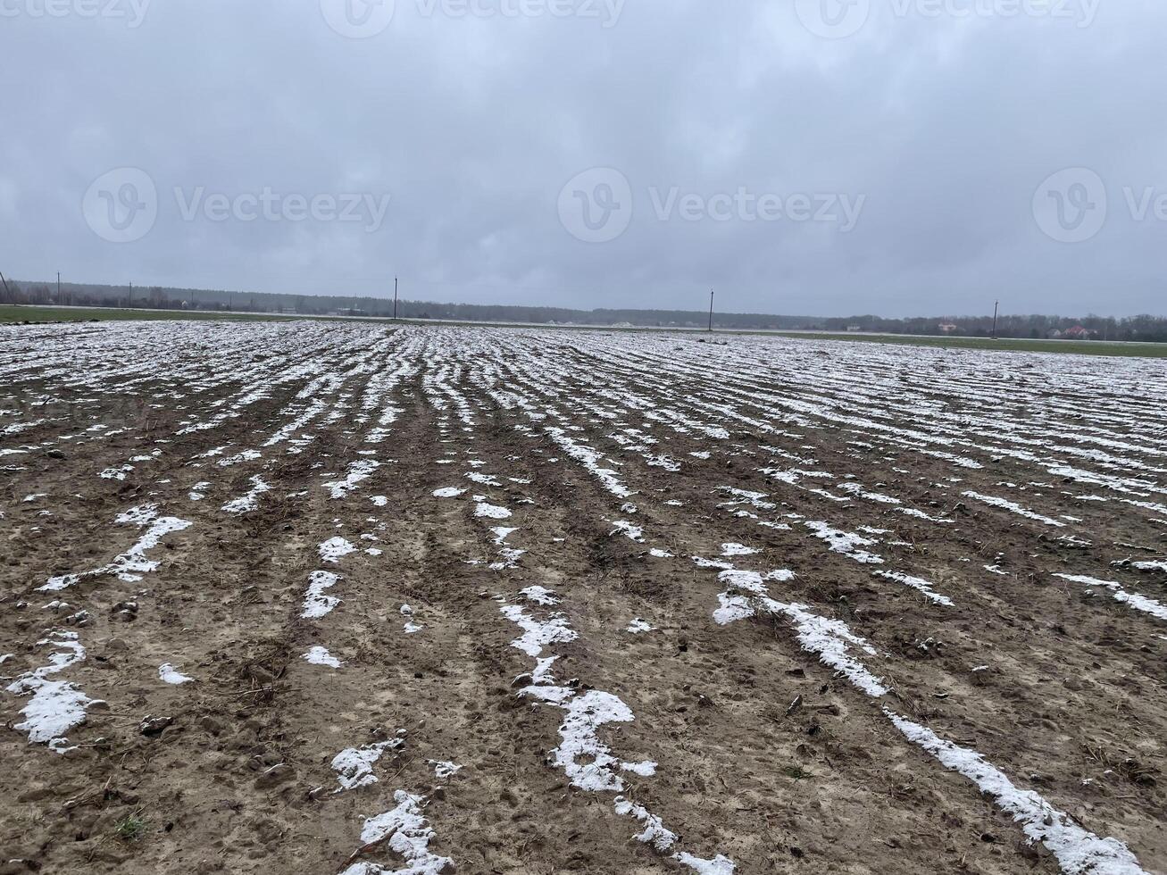 Pristine snow resting on a village field photo