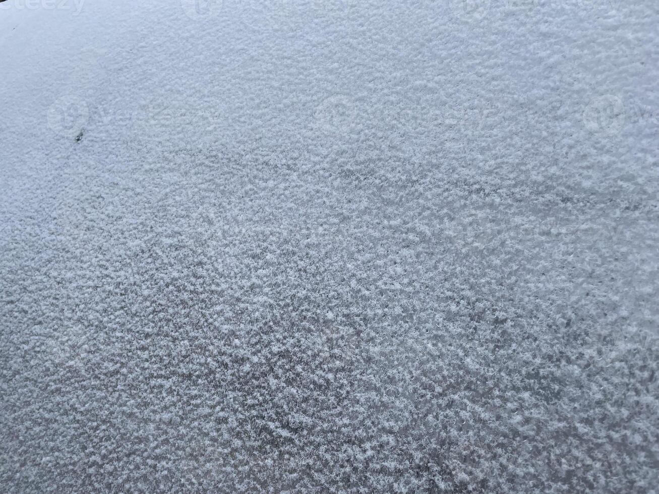 Snow resting on a polycarbonate greenhouse roof photo