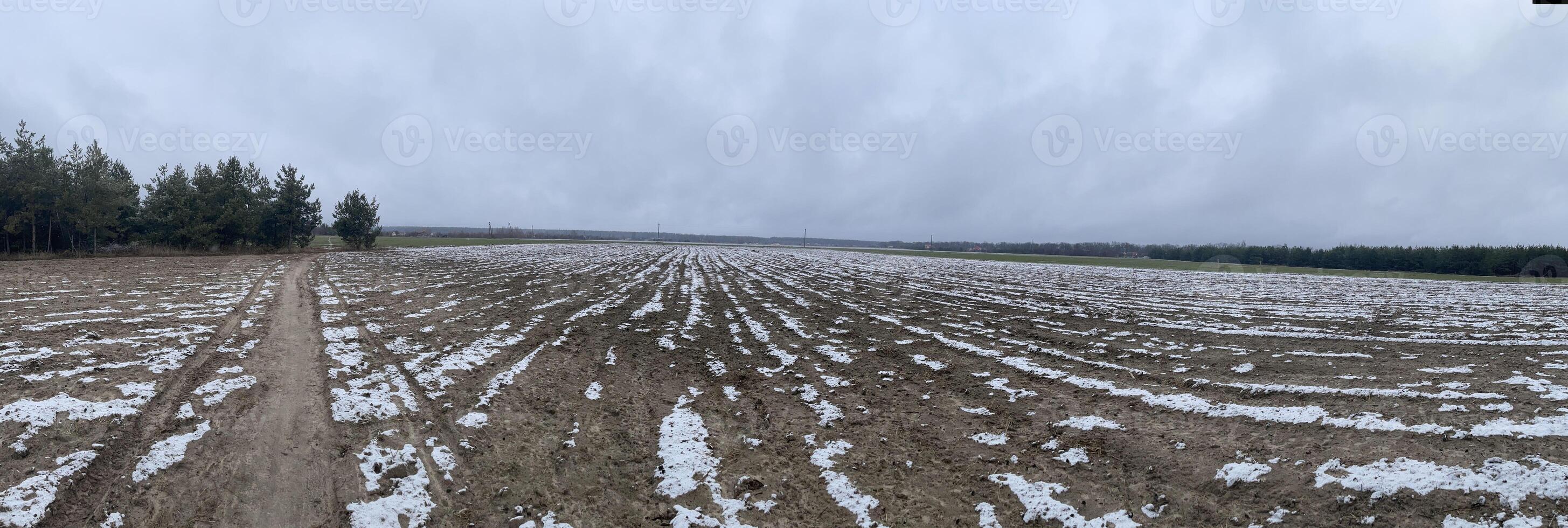 Pristine snow resting on a village field photo