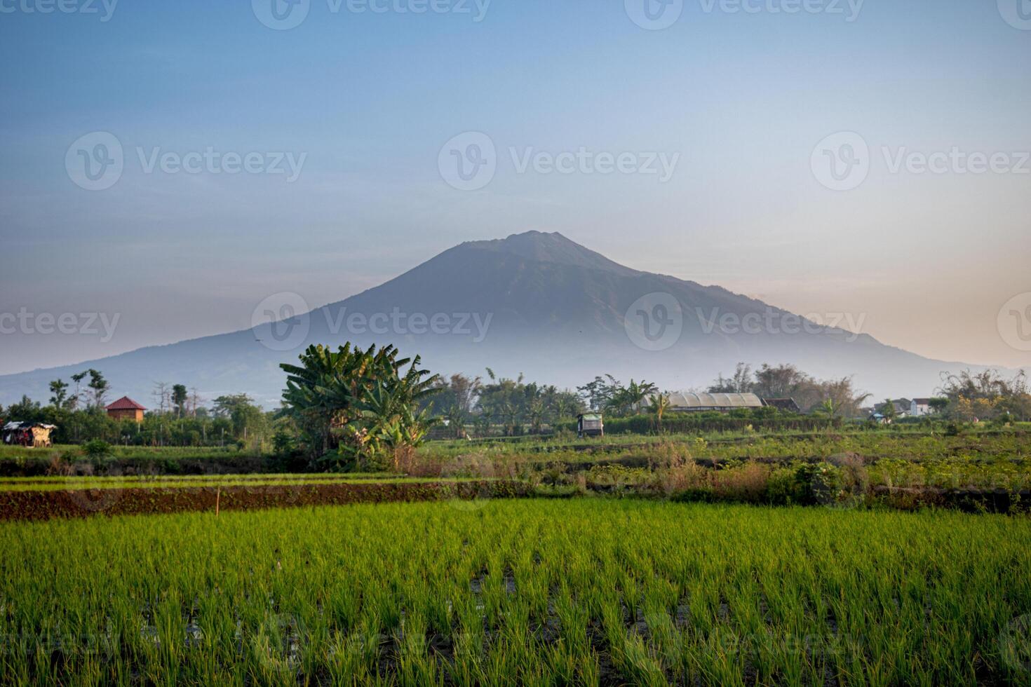 An agricultural field with Mount Arjuna in the background, a stratovolcano in the province of East Java in Java, Indonesia. photo