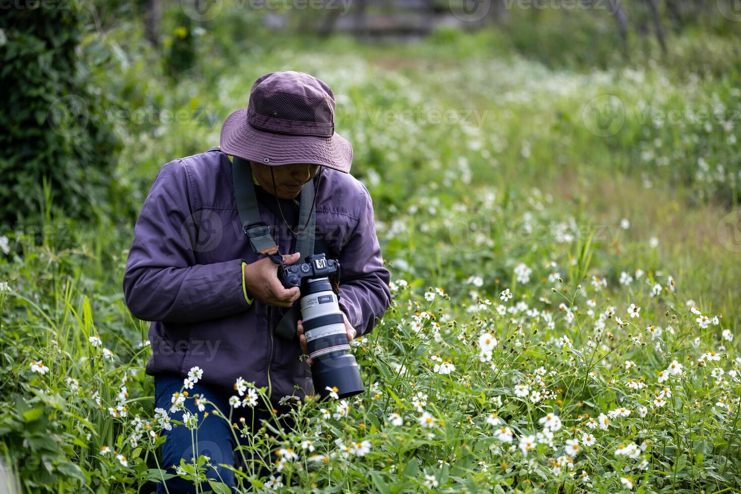 Photographer is taking photo while exploring the woodland forest with wild flower meadow for surveying and locating rare biological diversity and ecologist on field study