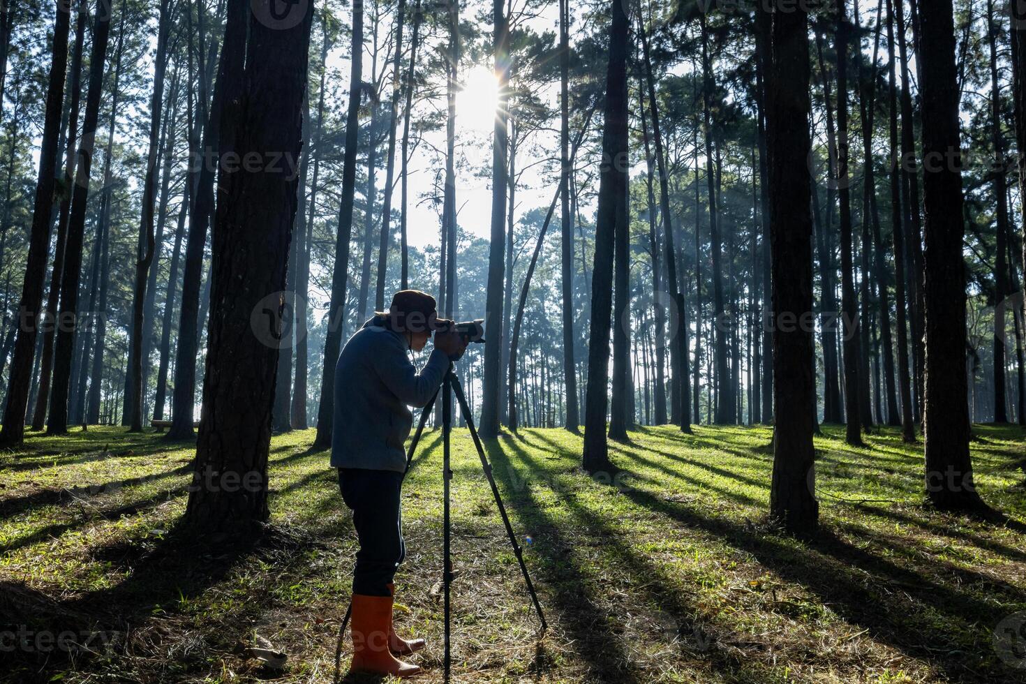 Photographer is taking photo on tripod of the new discovering bird species while exploring in the pine forest for surveying and locating rare biological diversity and ecologist on field study usage