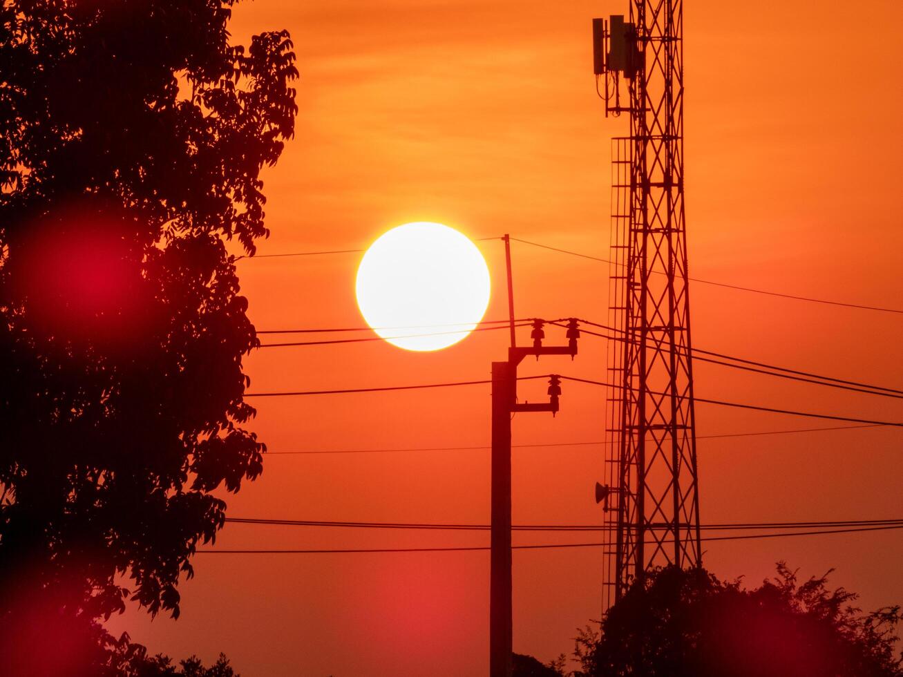 beautiful sunset over the rice field photo