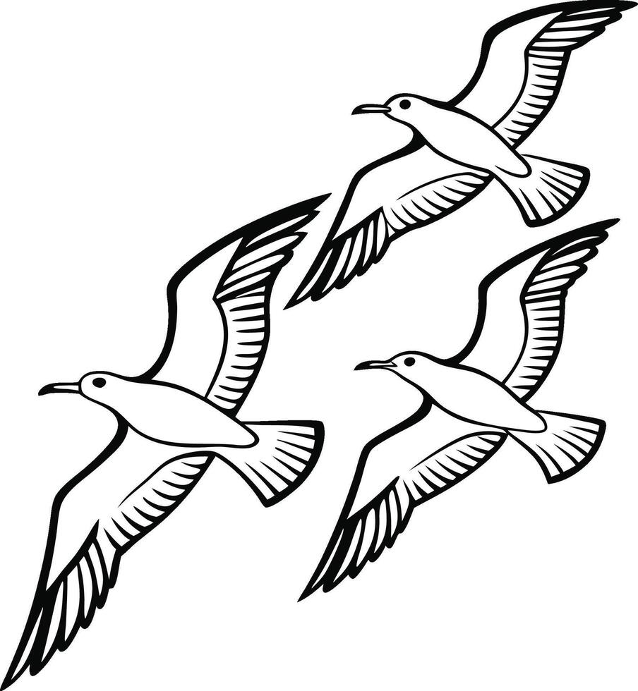 set of seagulls vector