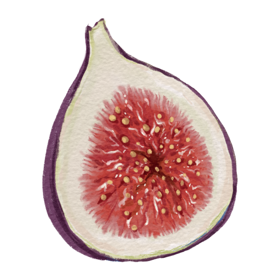 fig fruit seeds png