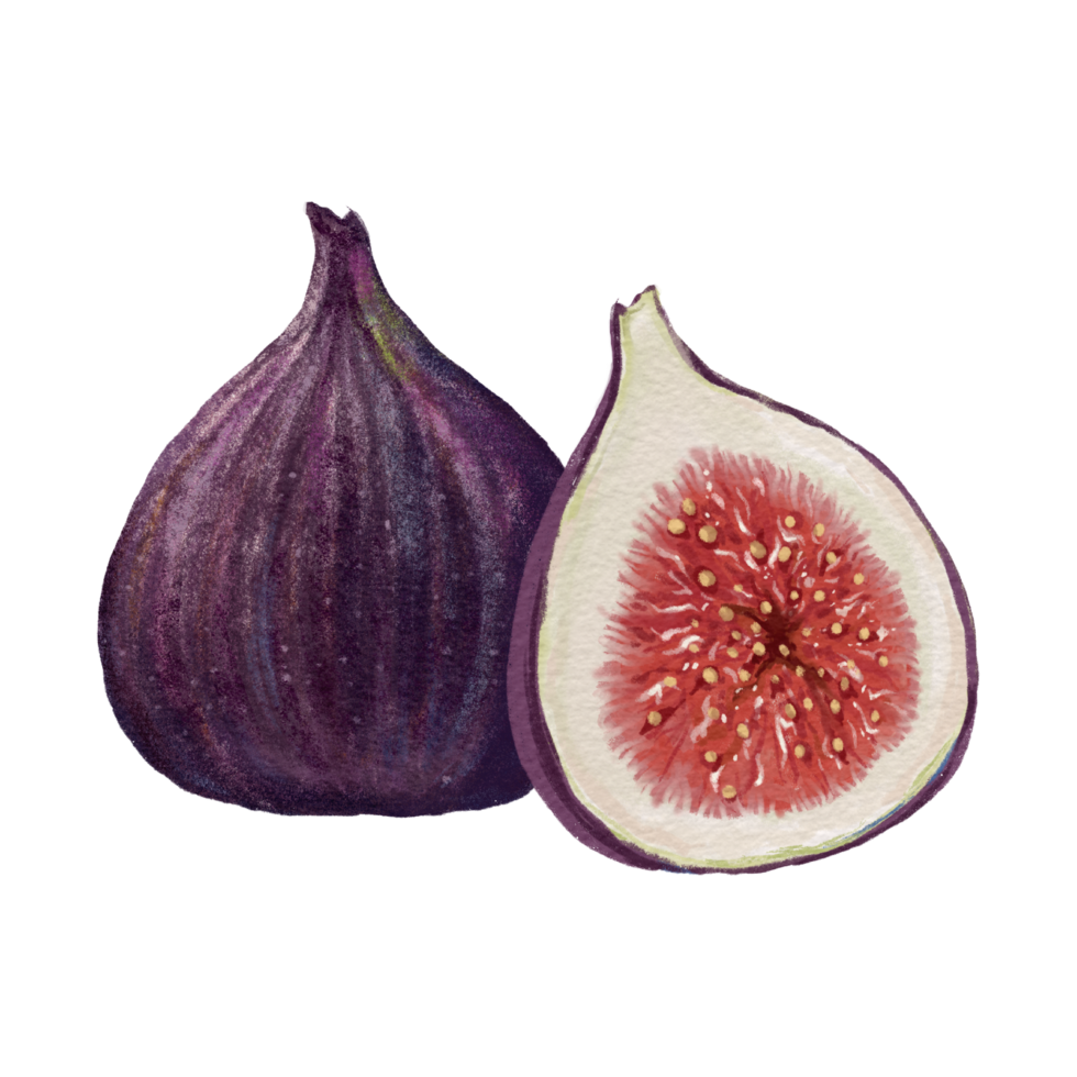 fig fruit seeds vitamins png