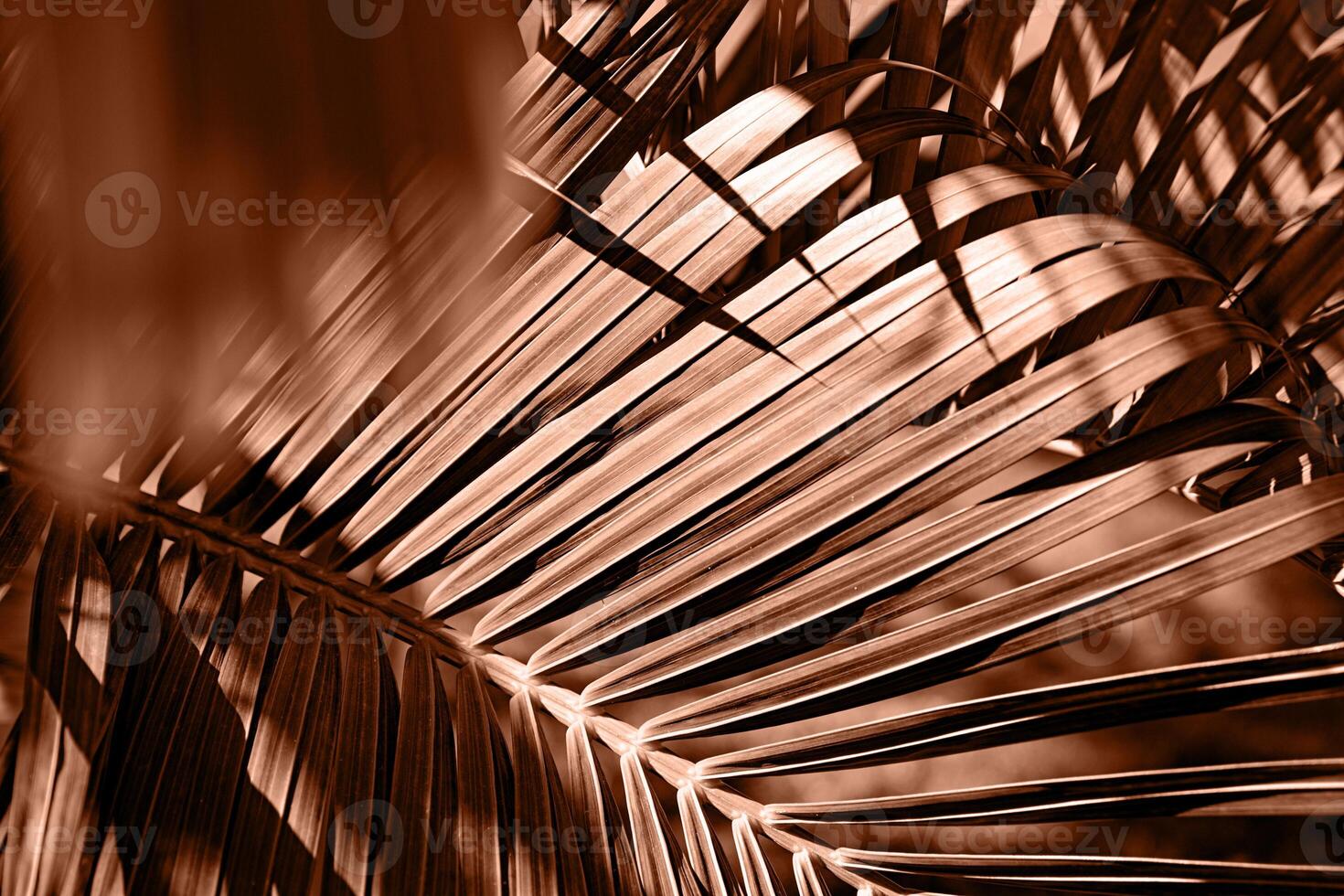 Mocha Mousse - color of the year 2025. palm trees background photo
