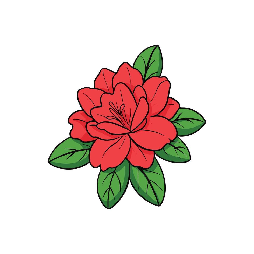 Lovely beautiful red china rose flower art illustration vector