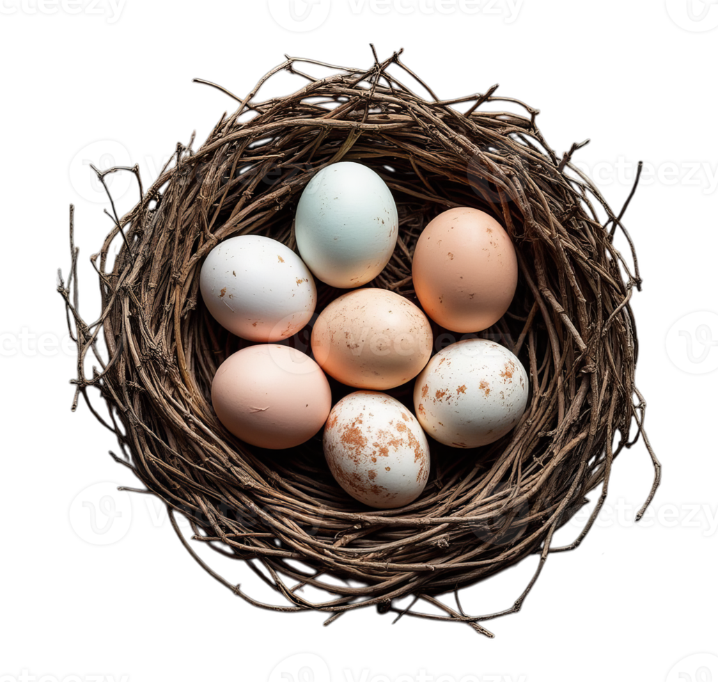 Natural bird's nest holding seven speckled Easter eggs, arranged on a transparent background, symbolizing nature, life, and new beginnings png