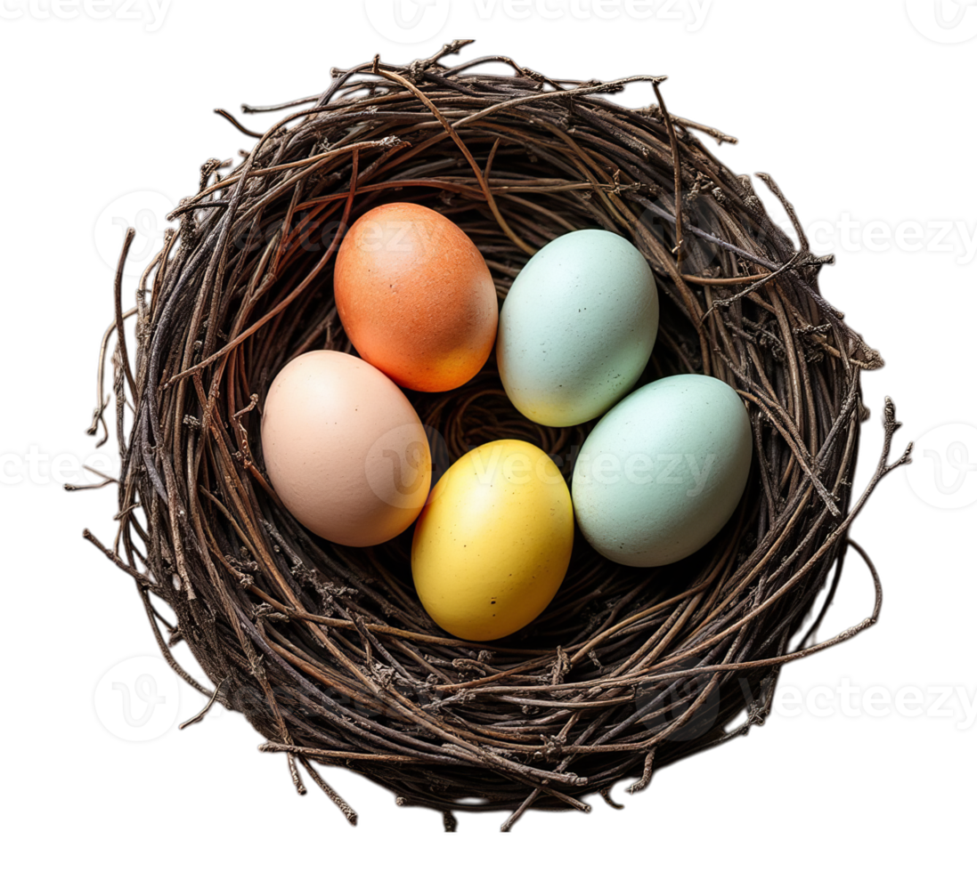 Vibrant Easter eggs of various colors resting in a natural, rustic bird's nest on transparent background, symbolizing spring and renewal png