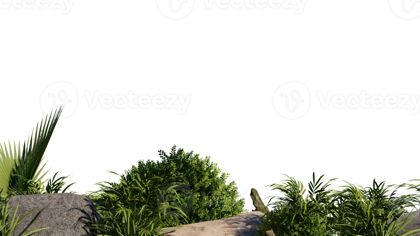 vegetation nature plant green natural environment foliage background 3d render. landscape tree jungle summer forest leaf tropical garden ecology grass. flora isolated park bush wild tropic. png
