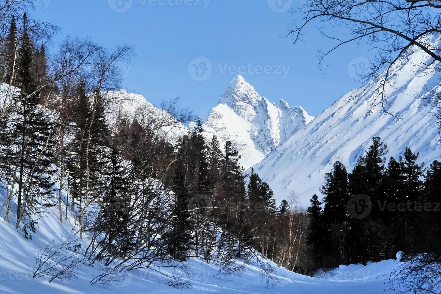 Baikal mountains in winter in snow. Forest in snow covered mountains. photo