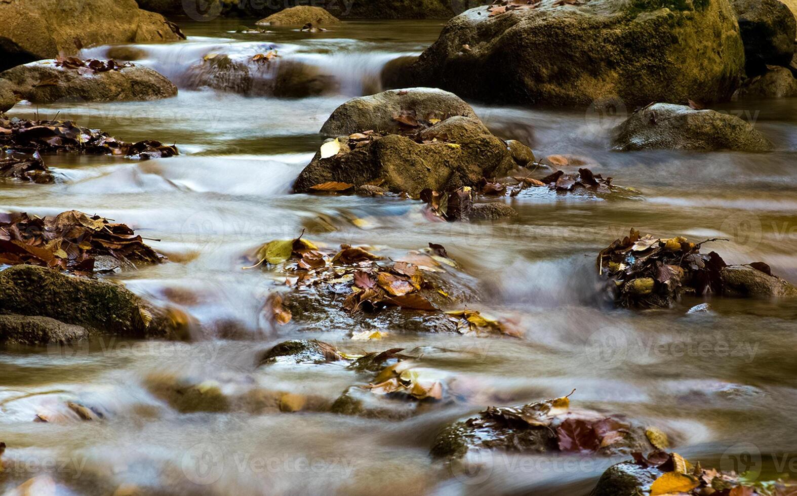 Mountain small river in forest with rapids and waterfalls. A forest creek. photo