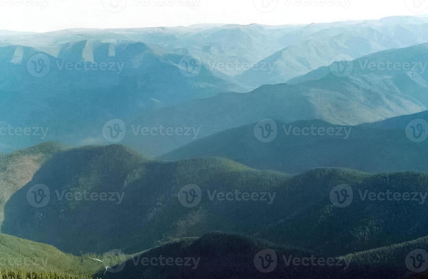 mountains of the sayans. The nature of the mountains is sayan. Vegetation in the mountains photo