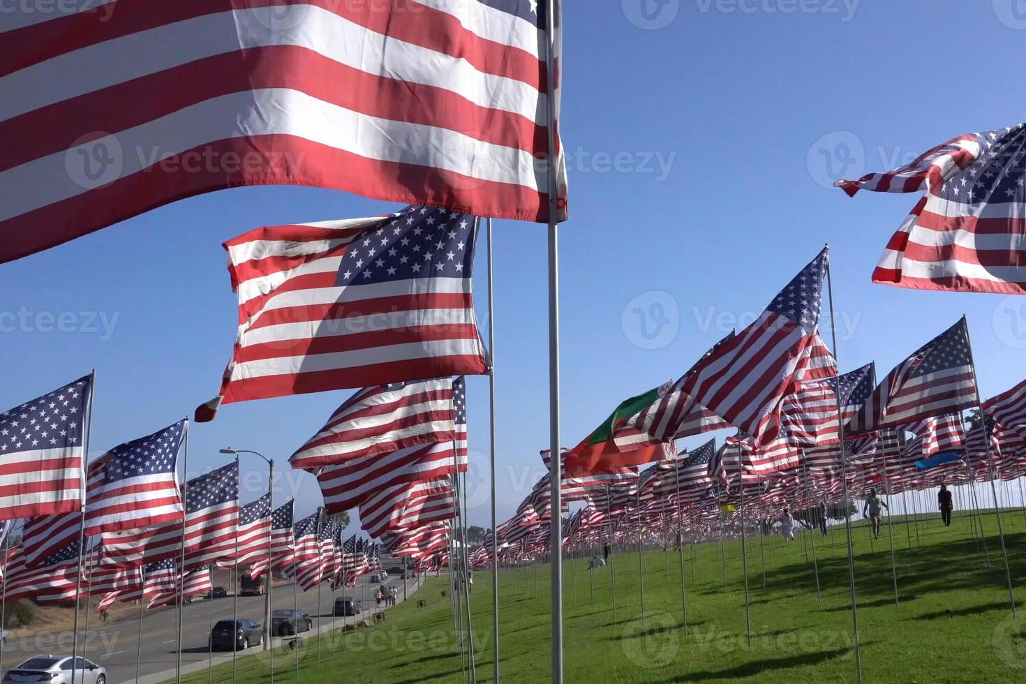 American flags on lawn. Lots of American flags. photo