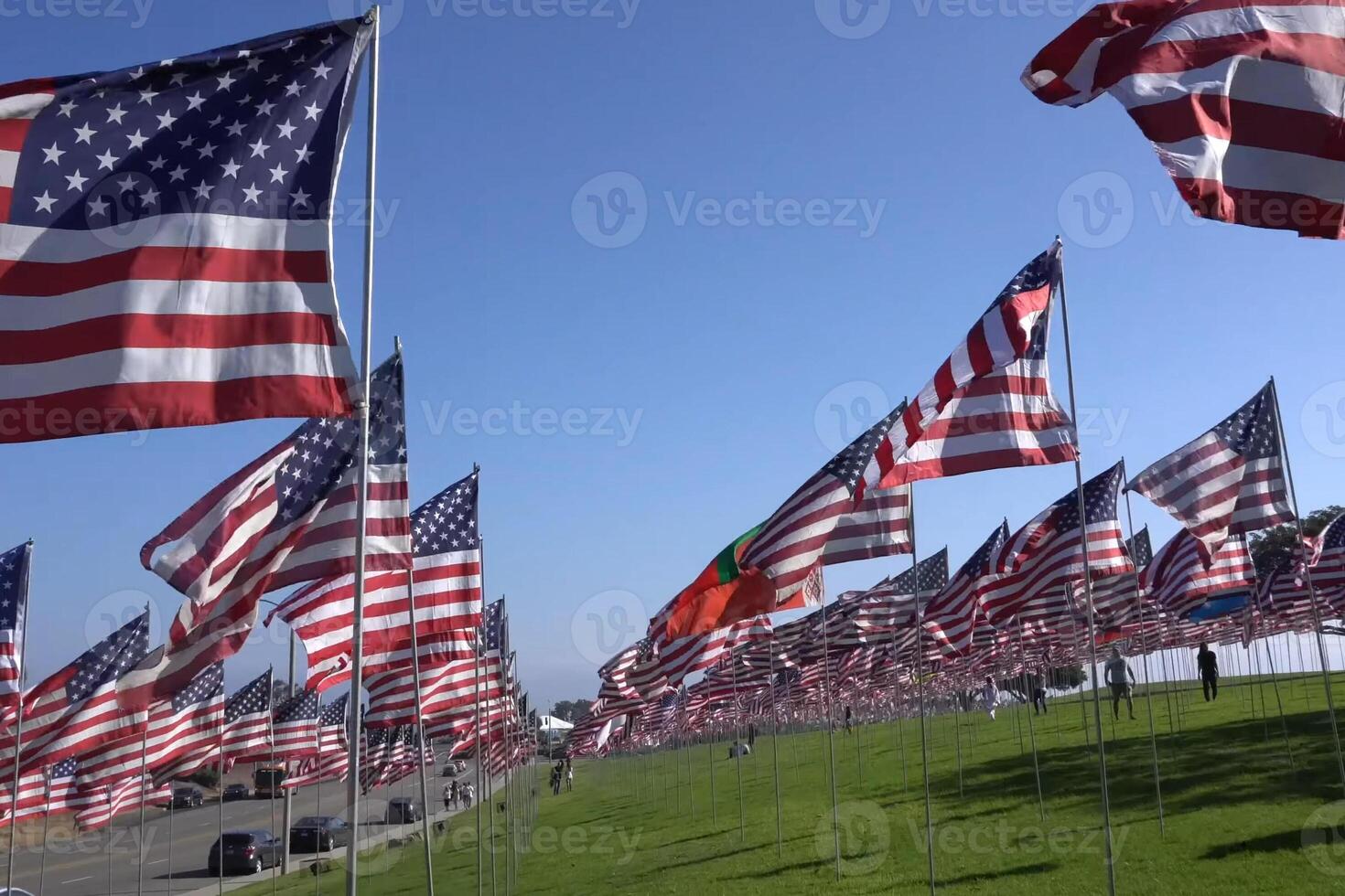 American flags on lawn. Lots of American flags. photo