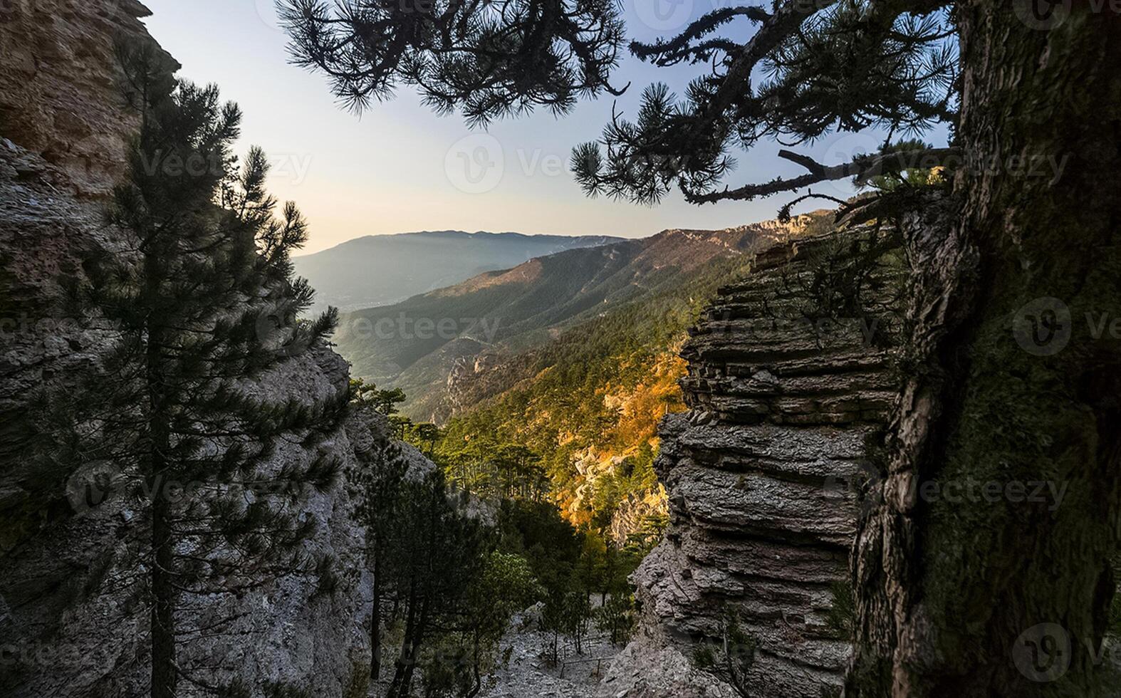 Mountains and forests of Crimea. coniferous and deciduous trees on the hills of mountains and rocks photo