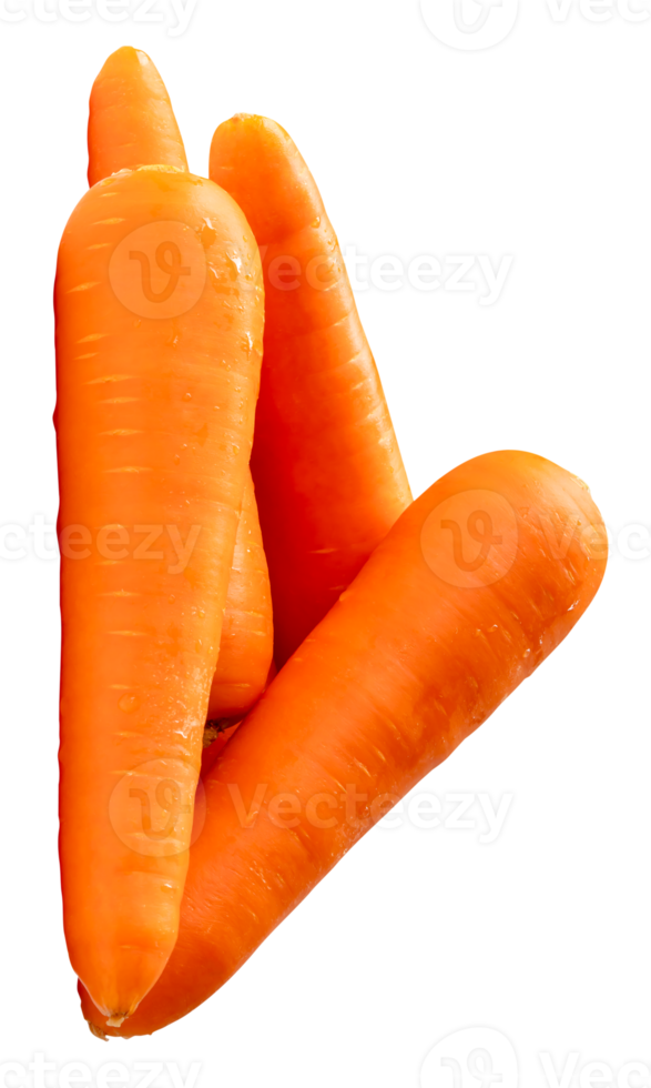 Group of fresh orange carrots roots in stack isolated with clipping path in file format Top view photo png