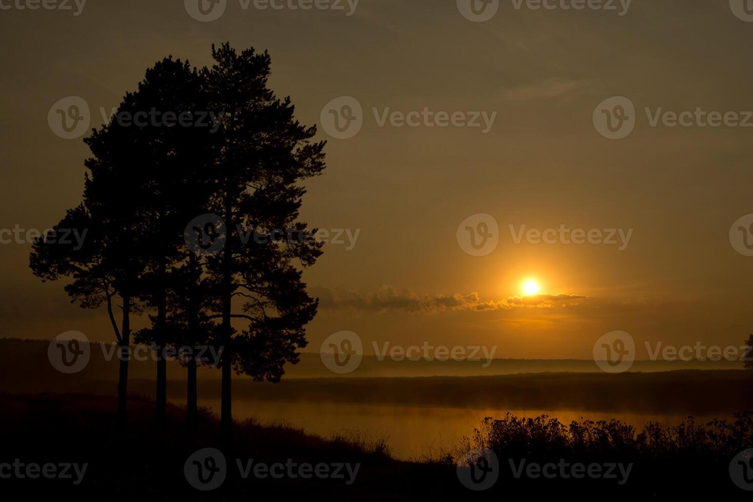 Lake at sunset, coastal grass and trees. light of the sunset above the water. photo