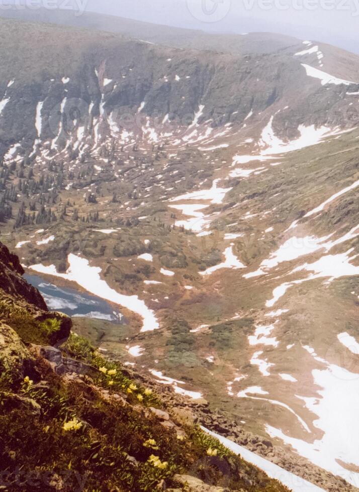mountains of the sayans. The nature of the mountains is sayan. Vegetation in the mountains photo