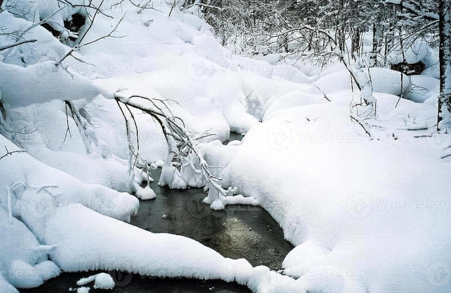 Snow and frost on tree branches and on grass. Winter in Sayan, nature Russia. photo