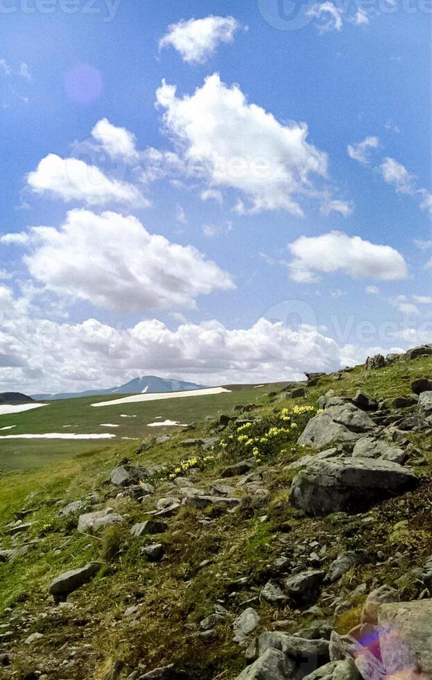 mountains of the sayans. The nature of the mountains is sayan. Vegetation in the mountains photo