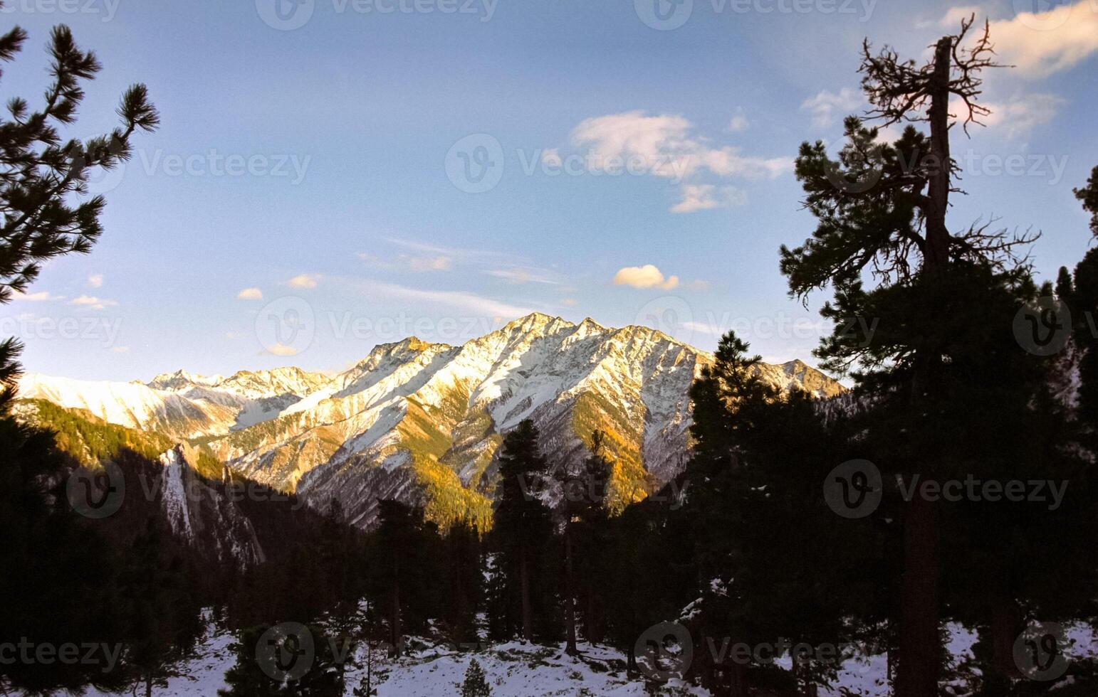 mountains of the sayans. The nature of the mountains is sayan. Vegetation in the mountains photo